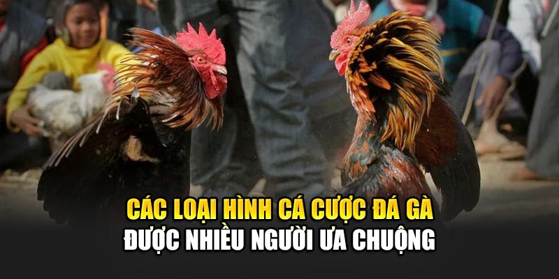 Các loại hình cá cược đá gà 32Win được nhiều người ưa chuộng