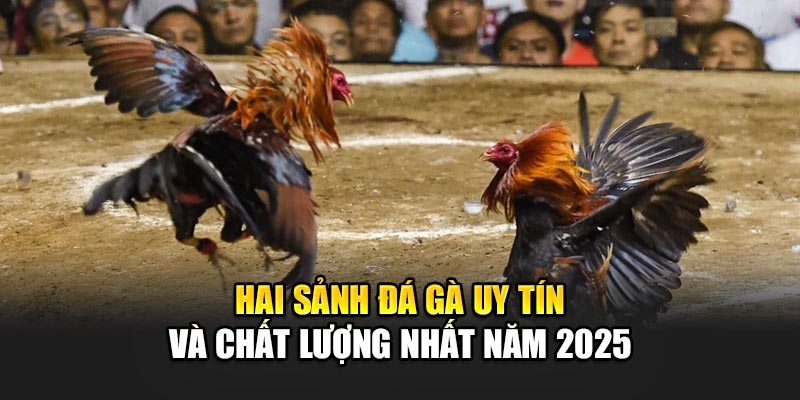 Hai sảnh đá gà 32Win uy tín và chất lượng nhất năm 2025