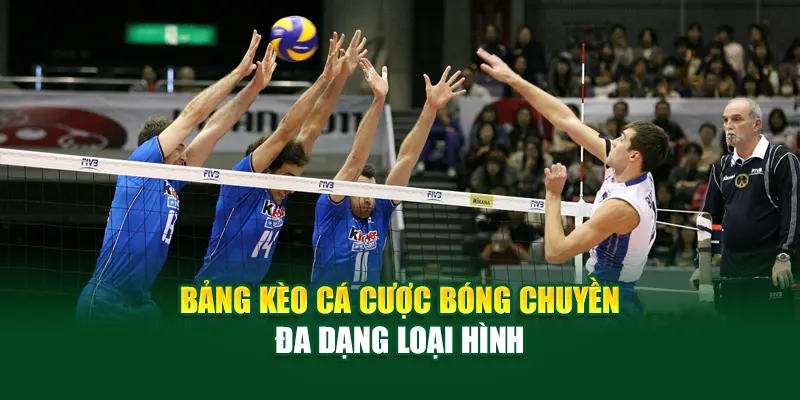 Bảng kèo cá cược bóng chuyền đa dạng loại hình
