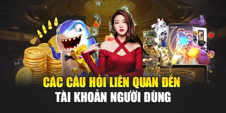 Các câu hỏi liên quan đến tài khoản người dùng