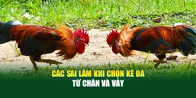 Các sai lầm khi chọn kê đá từ chân và vảy