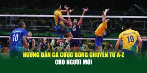 Hướng Dẫn Cá Cược Bóng Chuyền Cho Người Mới Từ A–Z