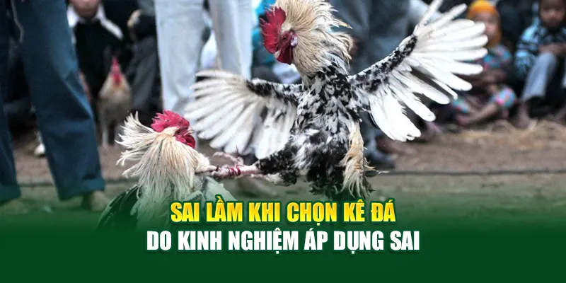 Sai lầm khi chọn kê đá do kinh nghiệm áp dụng sai