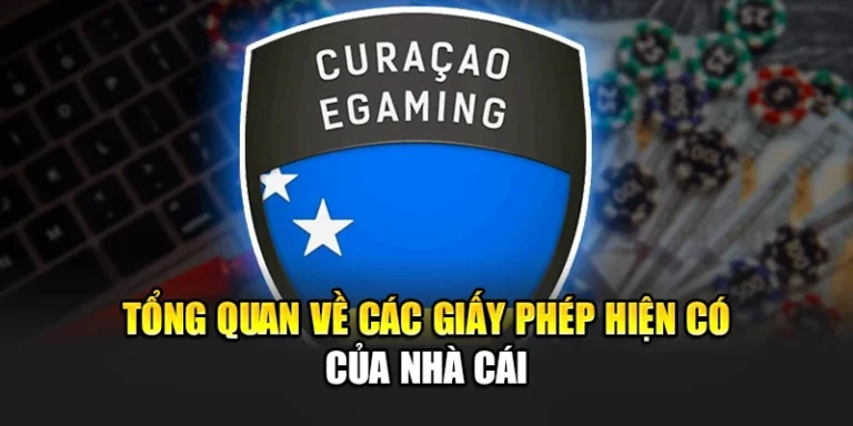 Tổng quan về các giấy phép hiện có của 32WIN